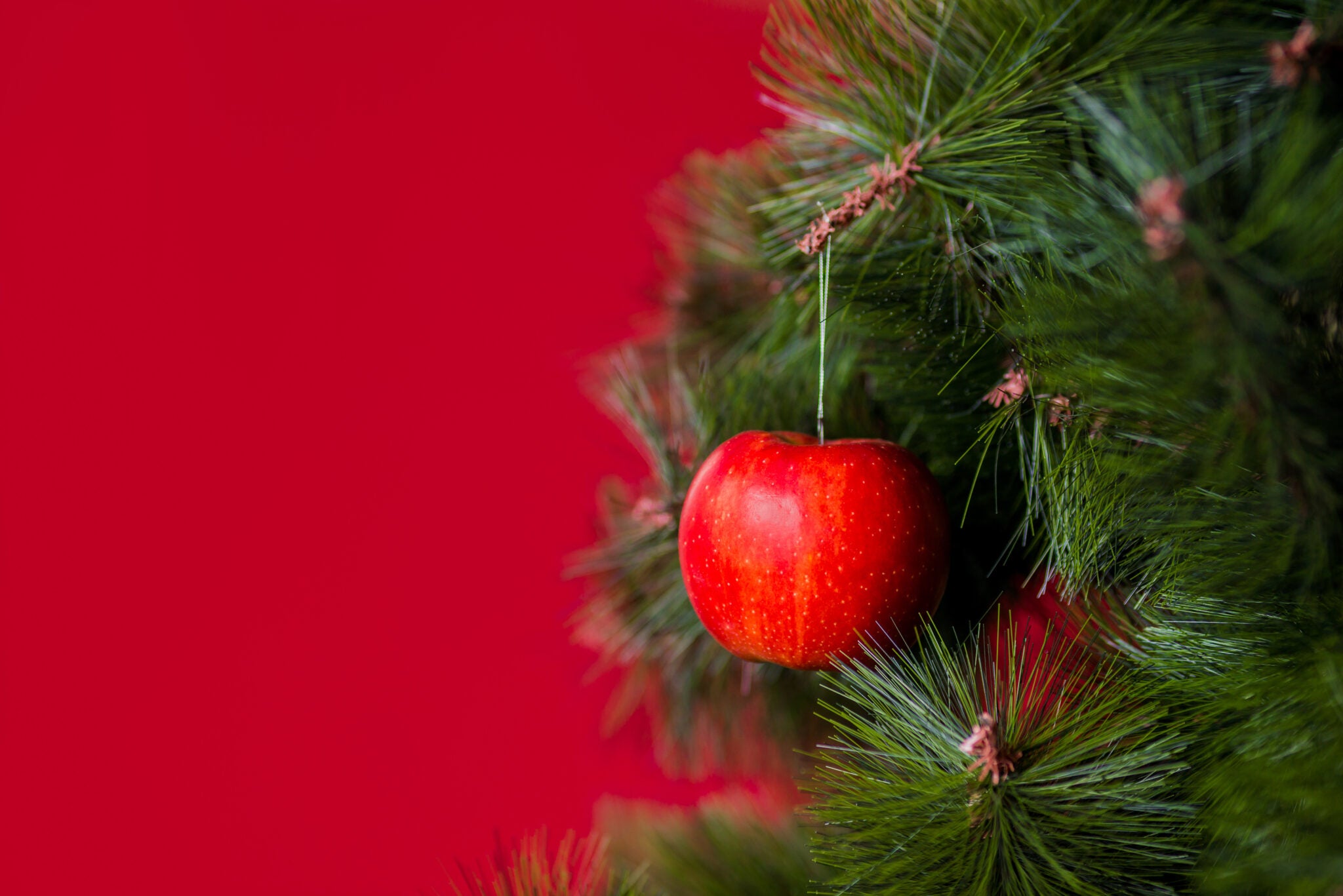 An Expert’s Guide To Getting In Shape QUICK For The Festive Season