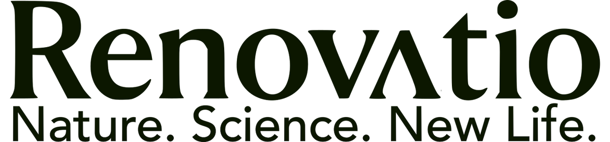 Renovatio